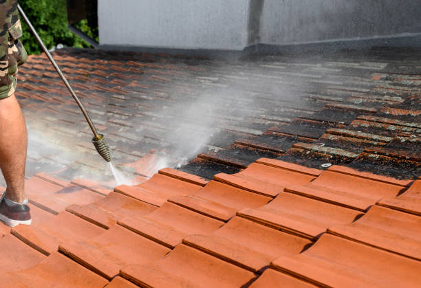 Best Pressure Washing Near Me  in Merkel, TX